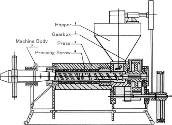 Винтовая масляная пресс-машина