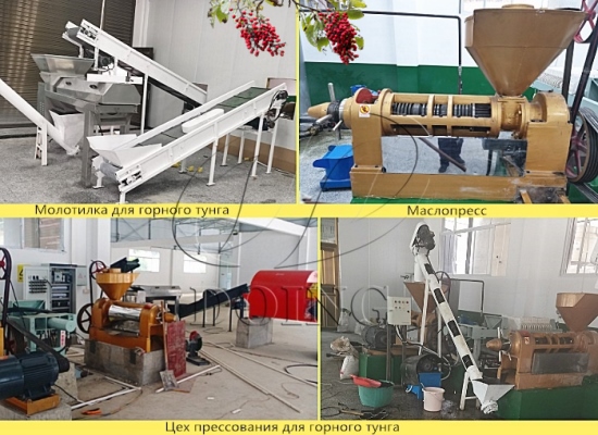 Проект 400 кг/ч завода по производству горного тунгового масла в провинции Хубэй, Китай