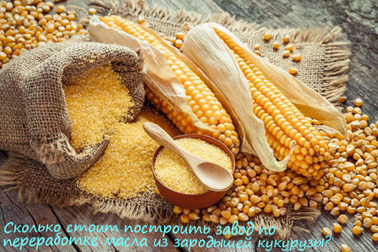 Сколько стоит построить завод по переработке масла из зародышей кукурузы?