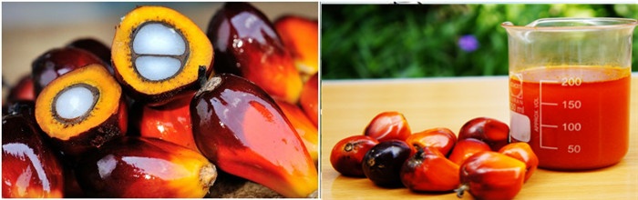 Пальмовое масло в Нигерии.jpg