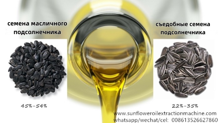 семена подсолнечника.jpg