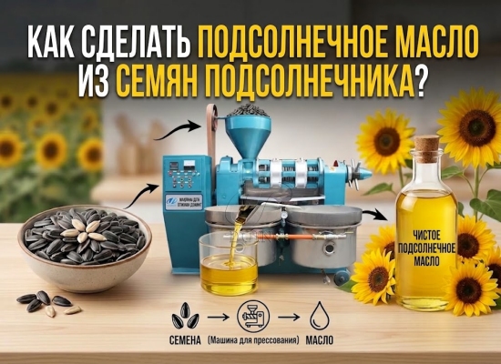 Как получить подсолнечное масло из семян подсолнечника?