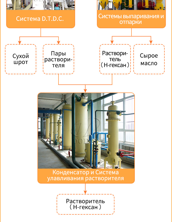 оборудование для производства растительного масла