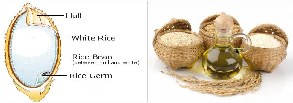 Рисовые отруби и масло рисовых отрубей