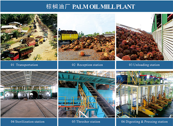 Промышленность по переработке пальмового масла в Нигерии