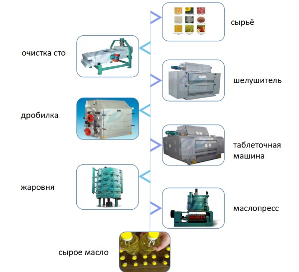 процесс для предварительной обработки и прессования хлопкового масла