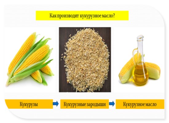 Как производят кукурузное масло?