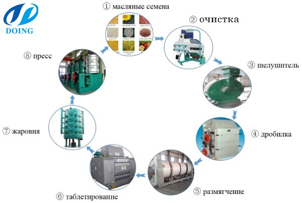 технология производства рапсового масла