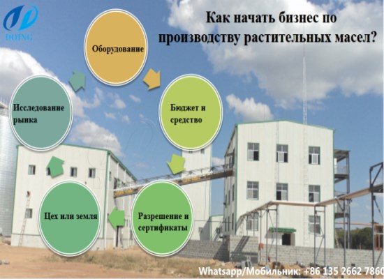 Как начать бизнес по производству растительных масел?