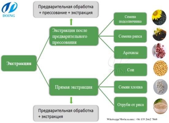 Технология экстракции растительного масла растворителем