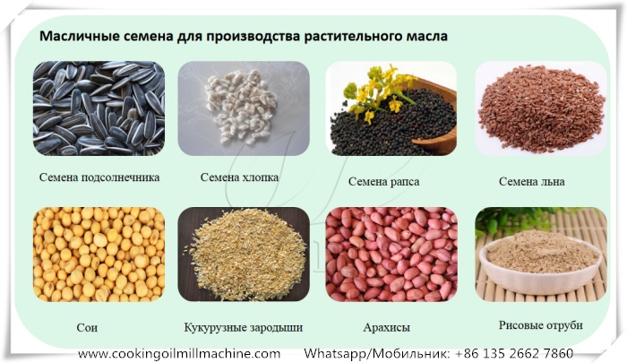 масличные семена для производства растительного масла