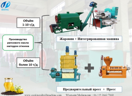 Как производят производство рапсового масла методом отжима?