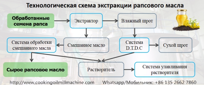 технологическая схема экстракции рапсового масла