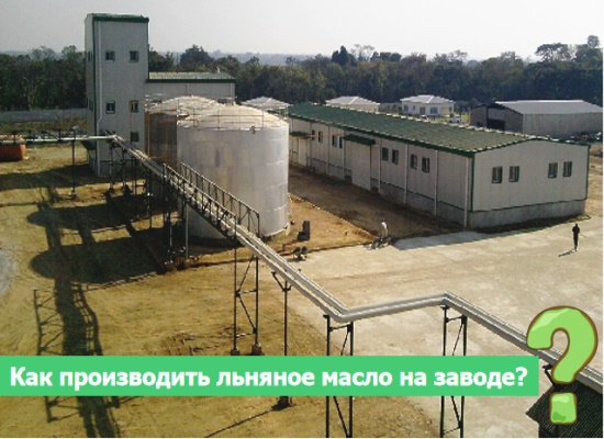 Как производить льняное масло на заводе?