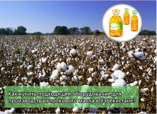 Как купить подходящее оборудование для производства хлопкового масла в Узбекистане?