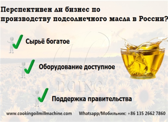 Перспективен ли бизнес по производству подсолнечного масла в России?