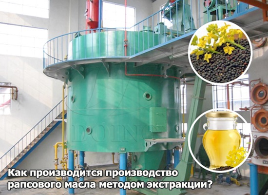 Как производится производство рапсового масла методом экстракции?