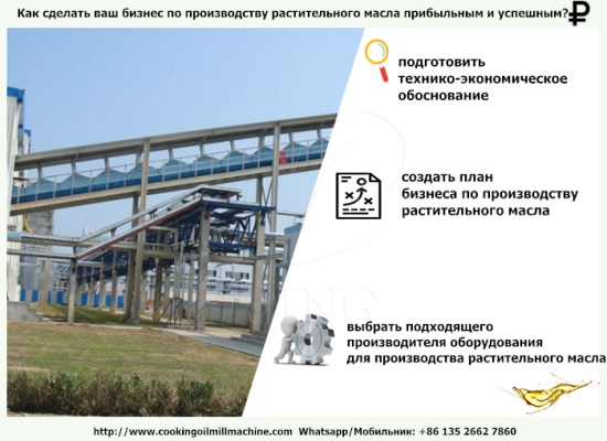 Как сделать ваш бизнес по производству растительного масла прибыльным и успешным?