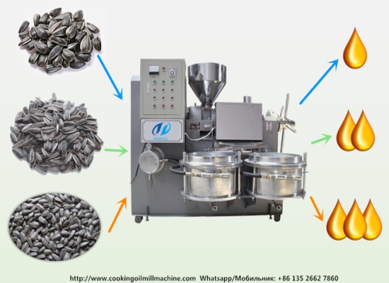 Какие факторы влияют на выход масла из семян подсолнечника?