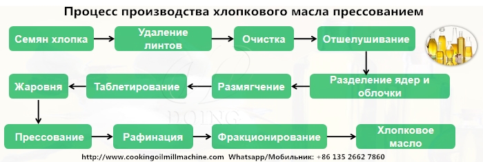 процесс производства хлопкового масла прессованием