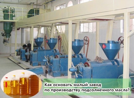 Как основать малый завод по производству подсолнечного масла?