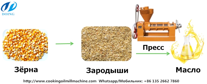 процесс прессования кукурузного масла