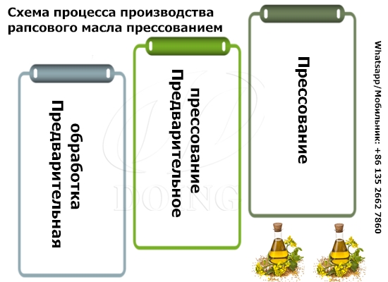 Введение в технологическую схему процесса производства рапсового масла