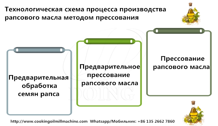 схема процесса производства рапсового масла