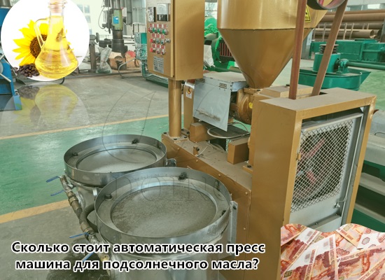 Сколько стоит автоматическая пресс машина для подсолнечного масла?