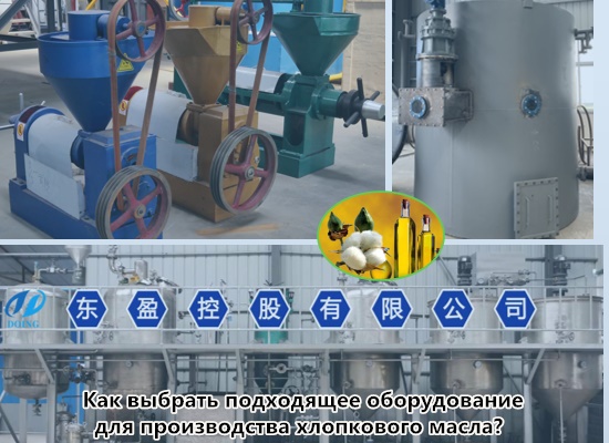 Как выбрать подходящее оборудование для производства хлопкового масла?