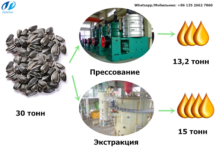 производство подсолнечного масла