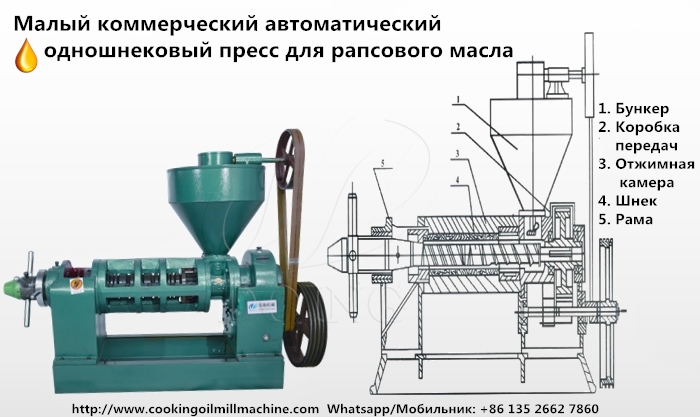 пресс для рапсового масла