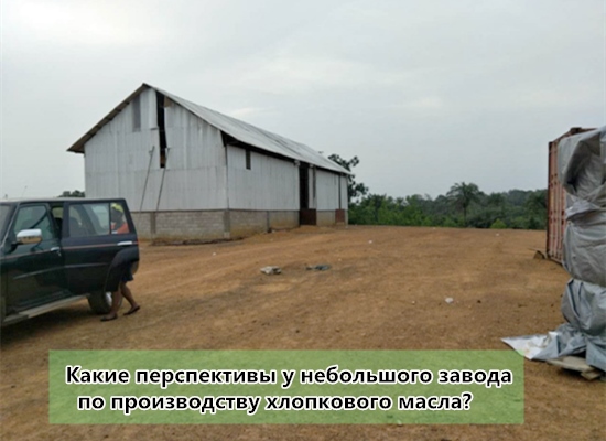 Какие перспективы у небольшого завода по производству хлопкового масла? Выгоден ли небольшой завод по производству хлопкового масла?