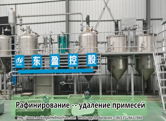 Сколько денег требуется для запуска небольшого завода по производству растительного масла в России?