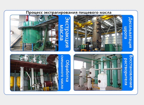 Клиент из Кыргызстана заказал оборудование экстракции растворителем для пищевого масла производительностью 20 тонн в сутки от Henan Glory