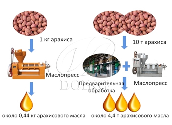 Сколько арахисового масла можно получить из 1 кг арахиса безскорлупы?
