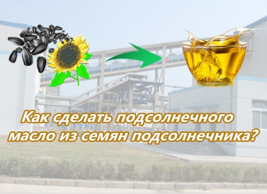 Как сделать растительное масло из семян подсолнечника?