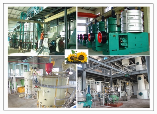 Какие услуги могут получить клиенты после покупки оборудования для переработки подсолнечного масла в компании Henan Glory?