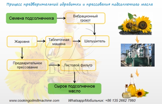 Какое пищевое масло можно производить на линии по производству пищевого масла? Чем отличаются их процесс производства?