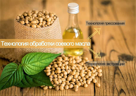 Каковы технологии обработки соевого масла? Какая технология лучше?