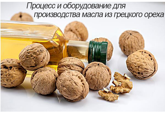 Процесс и оборудование для производства масла из грецкого ореха для малых и средних предприятий