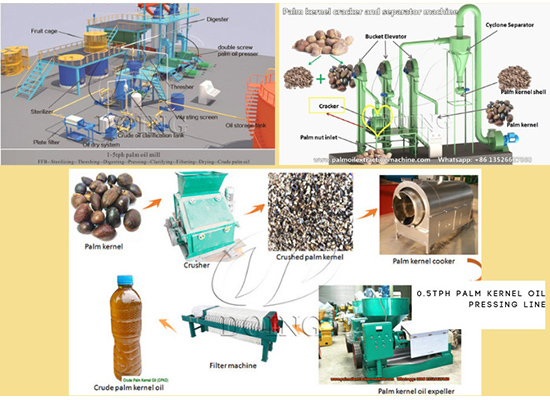 Клиент из Уганды успешно приобрел линию отжима пальмового масла производительностью 3 тонны в час, машину для крекинга и отделения скорлу