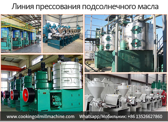 Как производится подсолнечное масло? Рассмотрим линию прессования подсолнечного масла