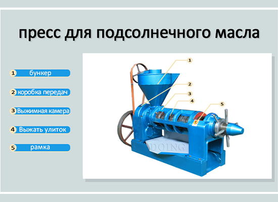 Какие существуют типы машин для прессования подсолнечного масла и их принципы работы