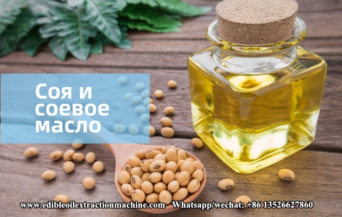 Фото сои и соевого масла.jpg