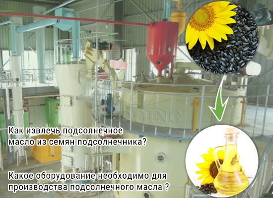 Какова цена FOB машины для переработки подсолнечного масла производительностью 20 тонн в день?