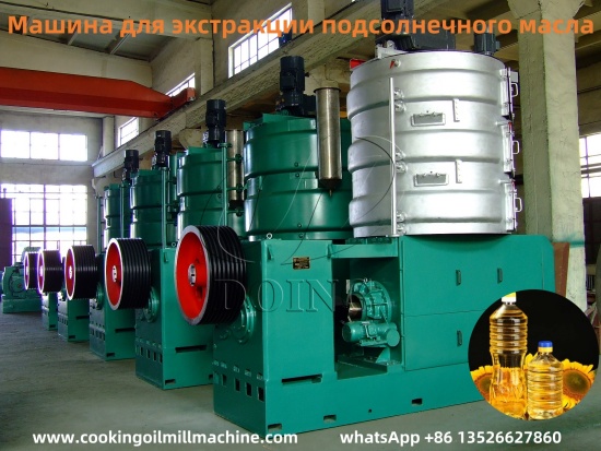 Как мне получить небольшую установку для извлечения подсолнечного масла, которая может производить 0,5–1 тонну подсолнечного масла в день?