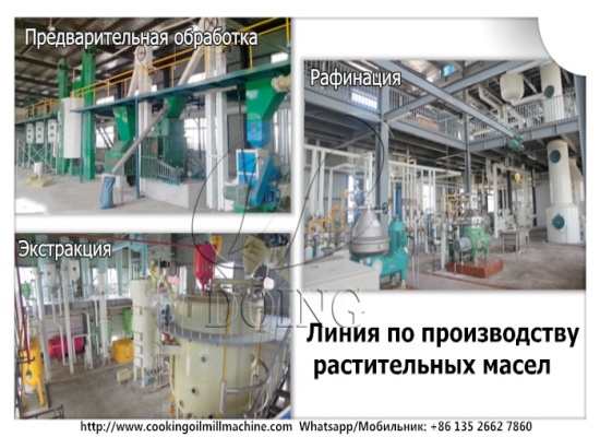 Может ли машина для переработки подсолнечного масла производить хлопковое масло?