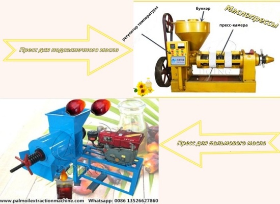 В чем разница между прессом для подсолнечного масла и прессом для пальмового масла?