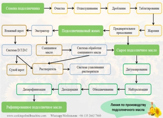 Каков процесс производства подсолнечного масла холодного отжима?